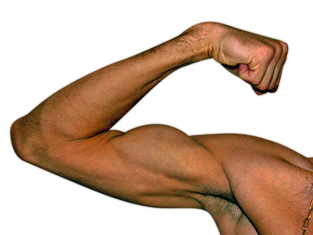 How Priming Works in Digital PR to Strengthen Your Brand Relevance