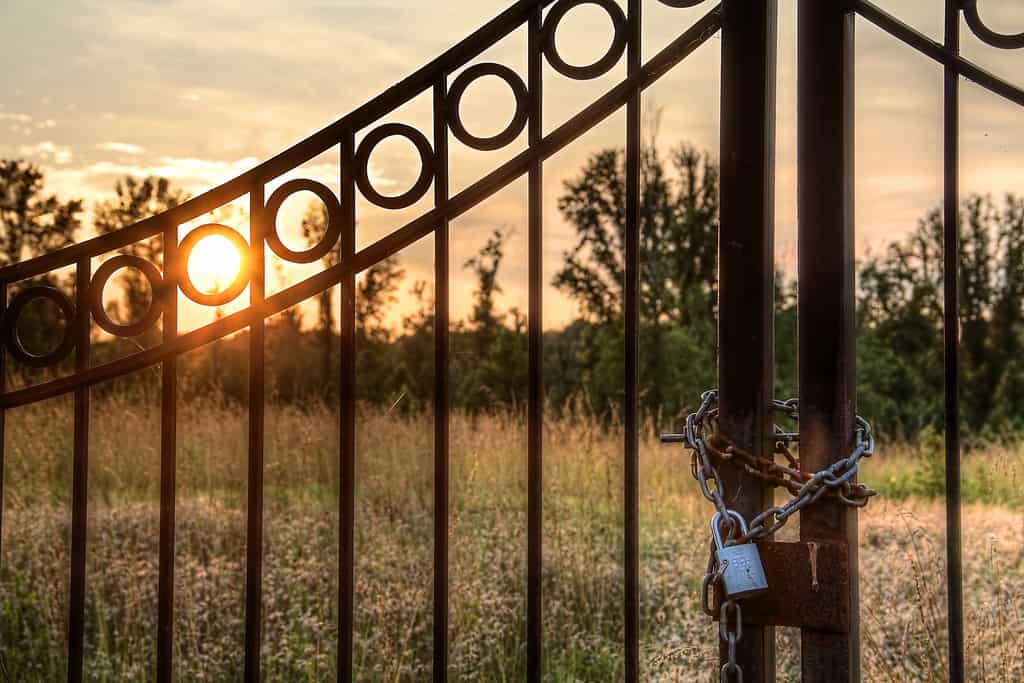 How Do You Use Gated Content